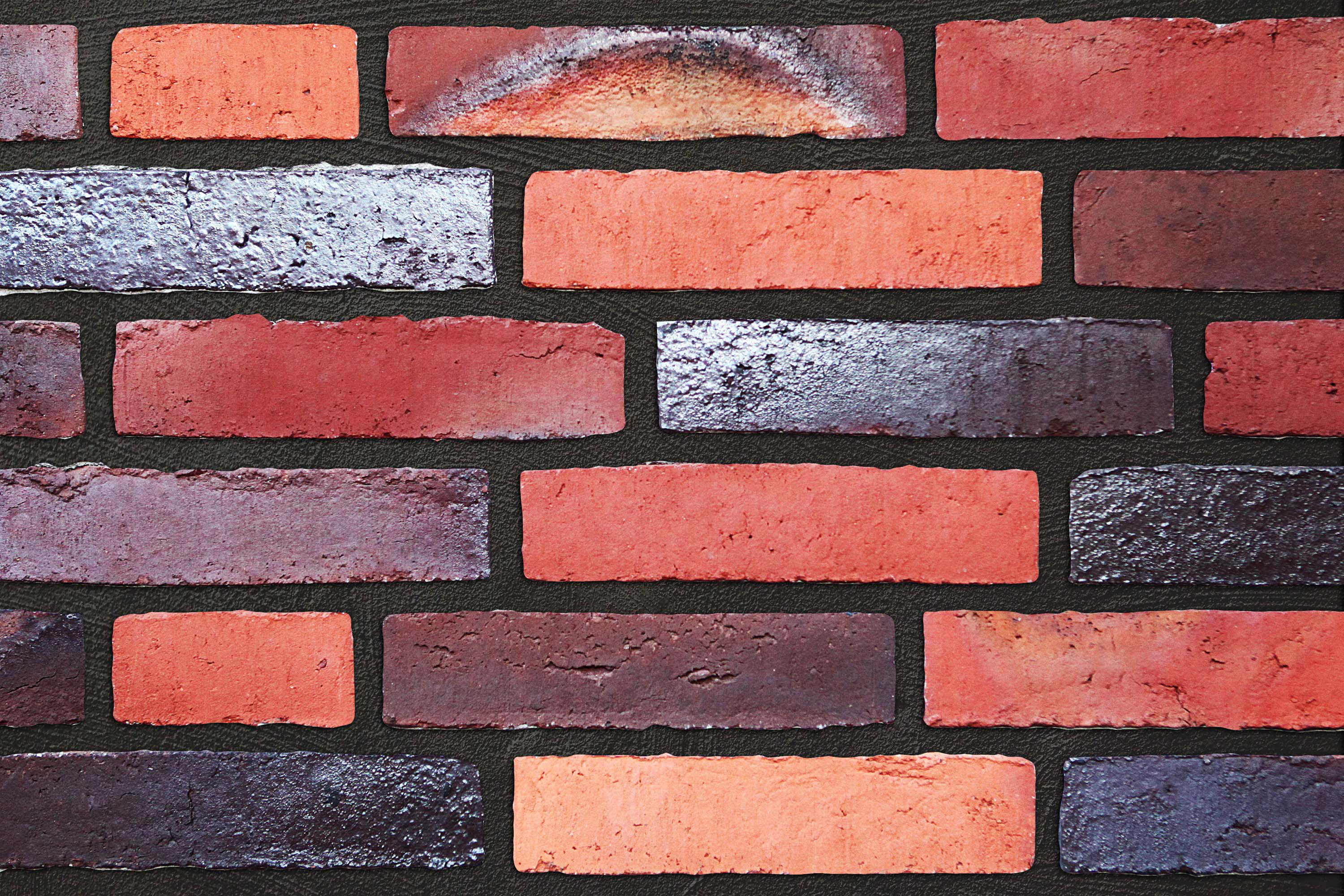 Alsterburg schwarz-hellrot-bunt