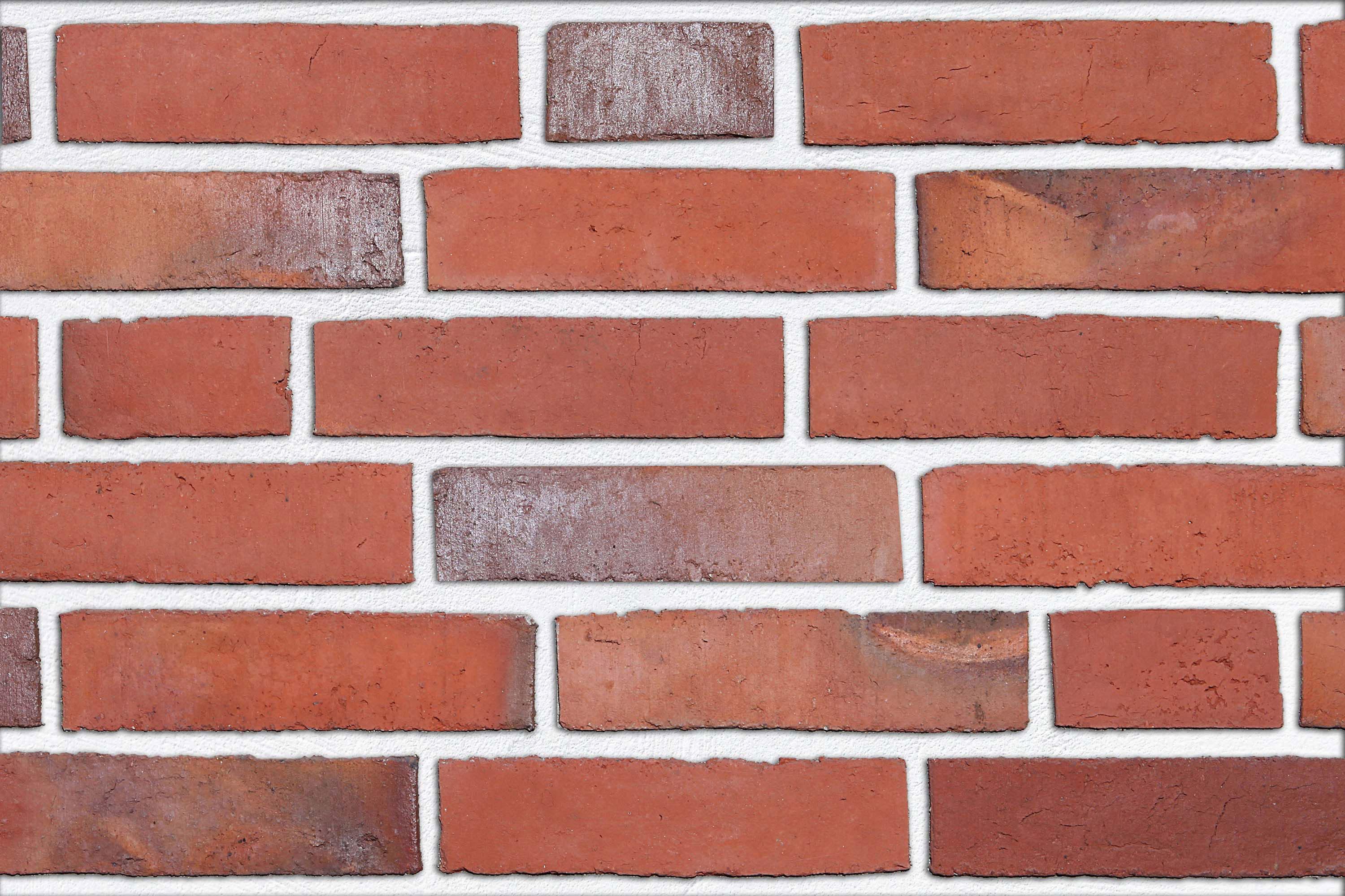 Vischering rot-braun-bunt