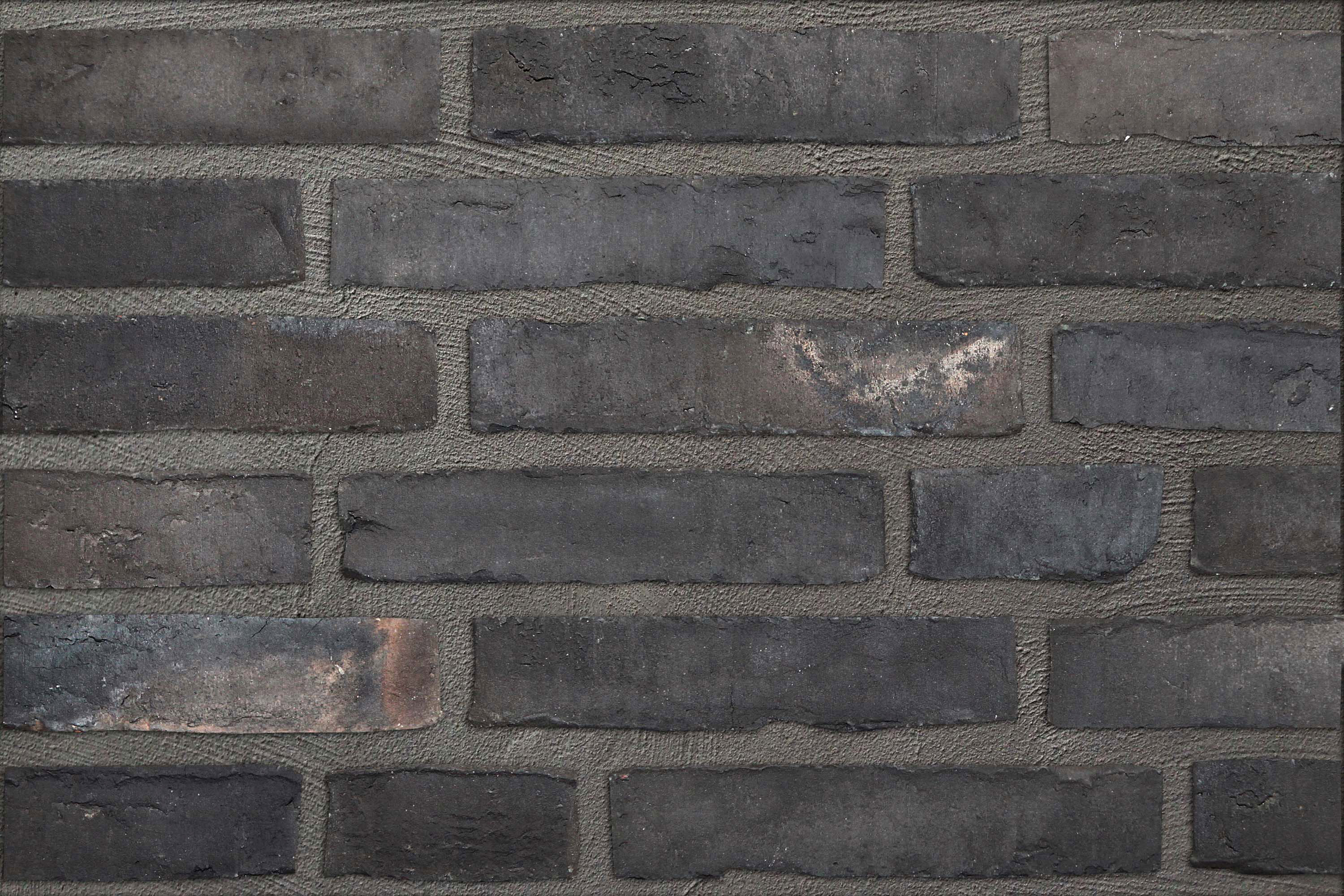 Hohenzollern schwarz-bunt Hohenzollern schwarz-bunt