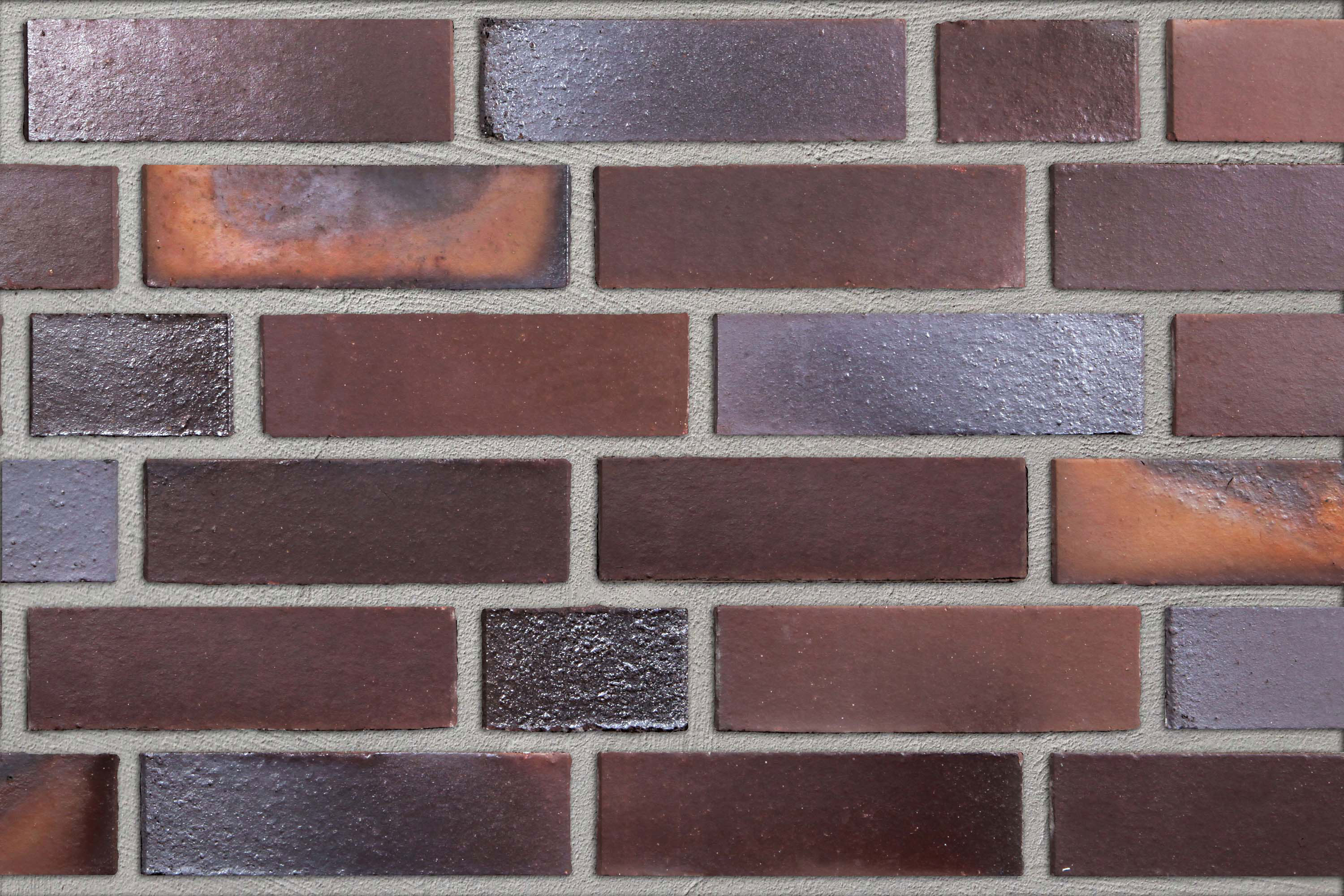 Nordstern schwarz-kupferbraun